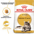 Сухий корм для дорослих котів ROYAL CANIN MAINECOON ADULT 10 кг